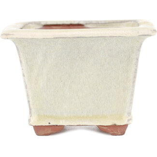  Eimei ( Yozan kiln) Maceta para bonsái blanquecina de 105 mm de Eime Yozan, Tokoname, Japón