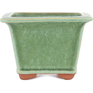 Eimei ( Yozan kiln) Maceta para bonsái verde de 105 mm de Eime Yozan, Tokoname, Japón  Eimei ( Yozan kiln) Maceta para bonsái verde de 105 mm de Eime Yozan, Tokoname, Japón