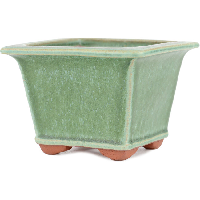 Square green bonsai pot by Eime Yozan - 105 x 105 x 70 mm