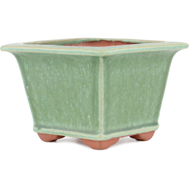 Maceta cuadrada para bonsái verde de Eime Yozan - 105 x 105 x 70 mm