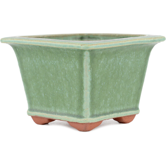 Maceta cuadrada para bonsái verde de Eime Yozan - 105 x 105 x 70 mm