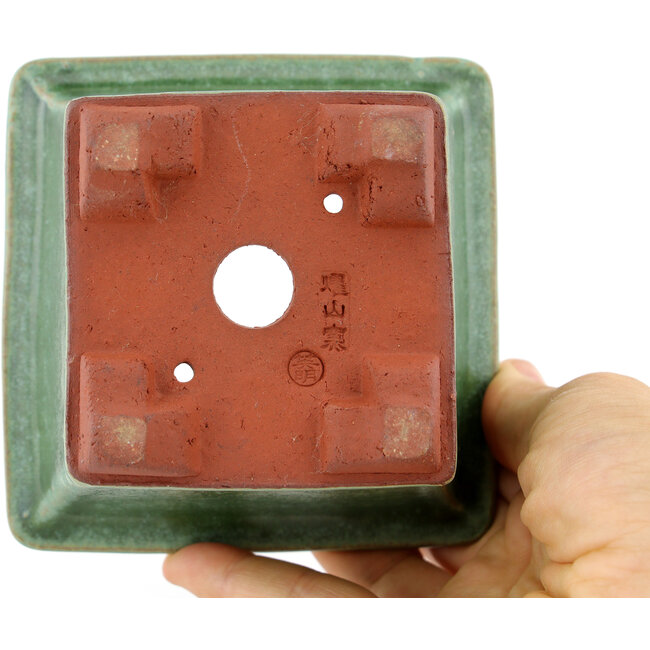 Pot à bonsaï carré vert par Eime Yozan - 105 x 105 x 70 mm