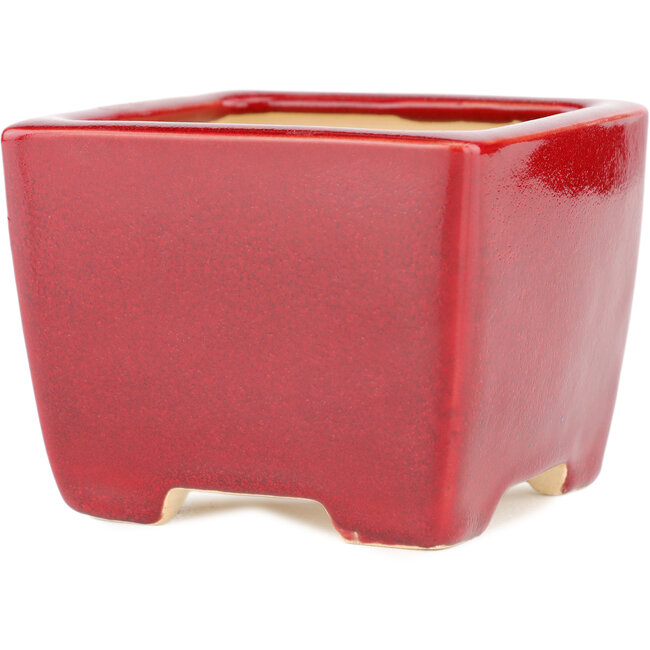 Square red bonsai pot by Eime Yozan - 95 x 95 x 75 mm