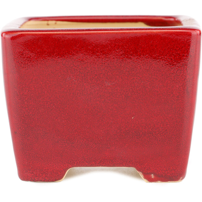 Vaso bonsai quadrato rosso di Eime Yozan - 95 x 95 x 75 mm