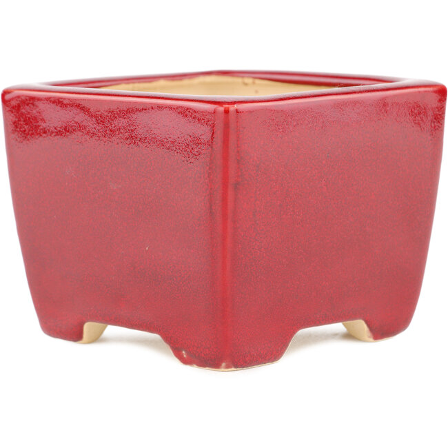 Vaso bonsai quadrato rosso di Eime Yozan - 95 x 95 x 75 mm