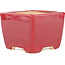 Square red bonsai pot by Eime Yozan - 95 x 95 x 75 mm