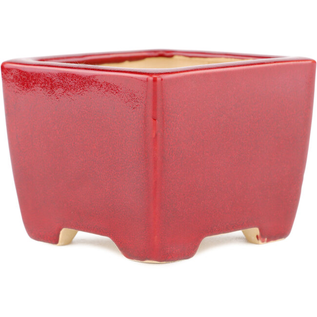 Vaso bonsai quadrato rosso di Eime Yozan - 95 x 95 x 75 mm