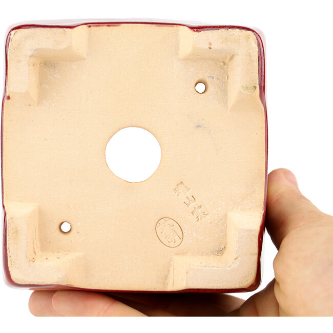 Square red bonsai pot by Eime Yozan - 95 x 95 x 75 mm
