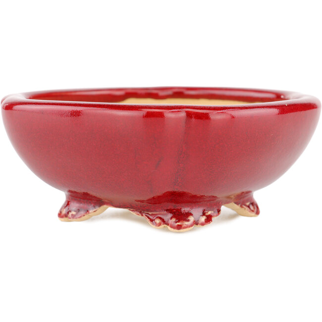 Maceta cuadrada para bonsái roja de Eime Yozan - 120 x 120 x 50 mm