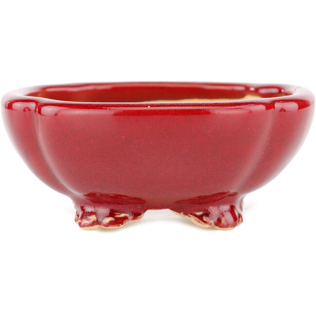 Square red bonsai pot by Eime Yozan - 120 x 120 x 50 mm