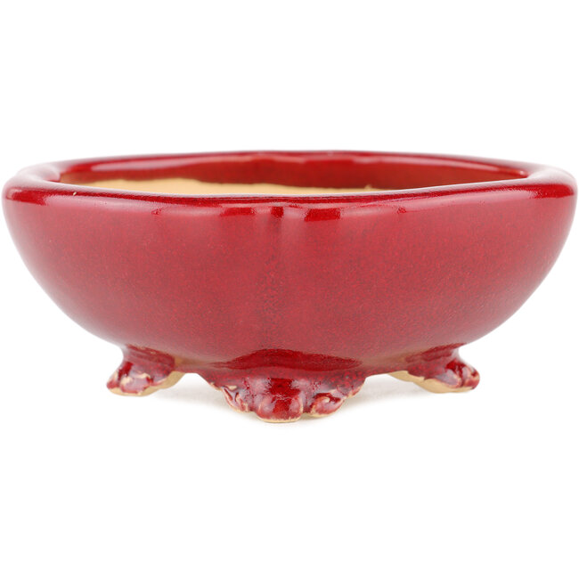 Maceta cuadrada para bonsái roja de Eime Yozan - 120 x 120 x 50 mm