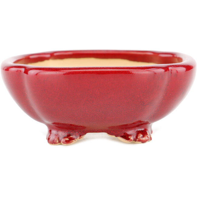 Maceta cuadrada para bonsái roja de Eime Yozan - 120 x 120 x 50 mm
