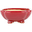 Maceta cuadrada para bonsái roja de Eime Yozan - 120 x 120 x 50 mm
