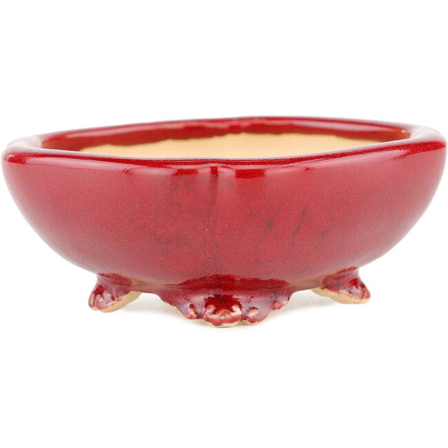 Maceta cuadrada para bonsái roja de Eime Yozan - 120 x 120 x 50 mm