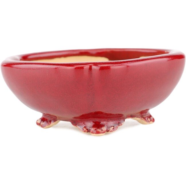 Square red bonsai pot by Eime Yozan - 120 x 120 x 50 mm