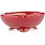 Quadratischer roter Bonsaitopf von Eime Yozan – 120 x 120 x 50 mm