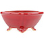 Quadratischer roter Bonsaitopf von Eime Yozan – 123 x 123 x 55 mm