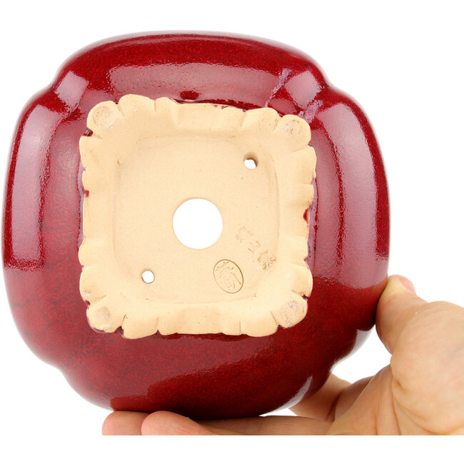 Pot à bonsaï carré rouge par Eime Yozan - 120 x 120 x 50 mm