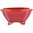 Maceta cuadrada para bonsái roja de Eime Yozan - 123 x 123 x 55 mm