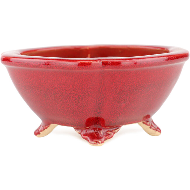 Vaso bonsai quadrato rosso di Eime Yozan - 123 x 123 x 55 mm