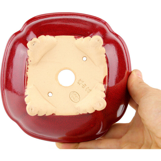 Vaso bonsai quadrato rosso di Eime Yozan - 123 x 123 x 55 mm