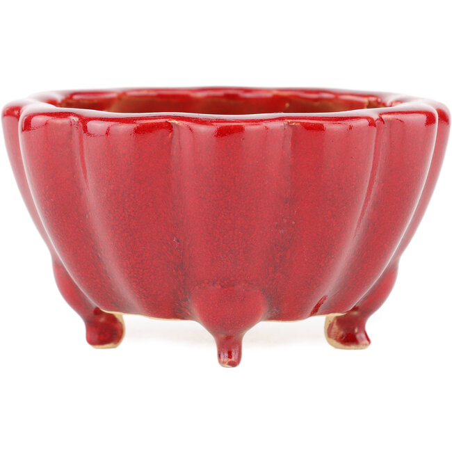 Maceta para bonsái Lotus rojo de Eime Yozan - 105 x 105 x 60 mm
