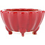 Pot à bonsaï Lotus rouge par Eime Yozan - 105 x 105 x 60 mm