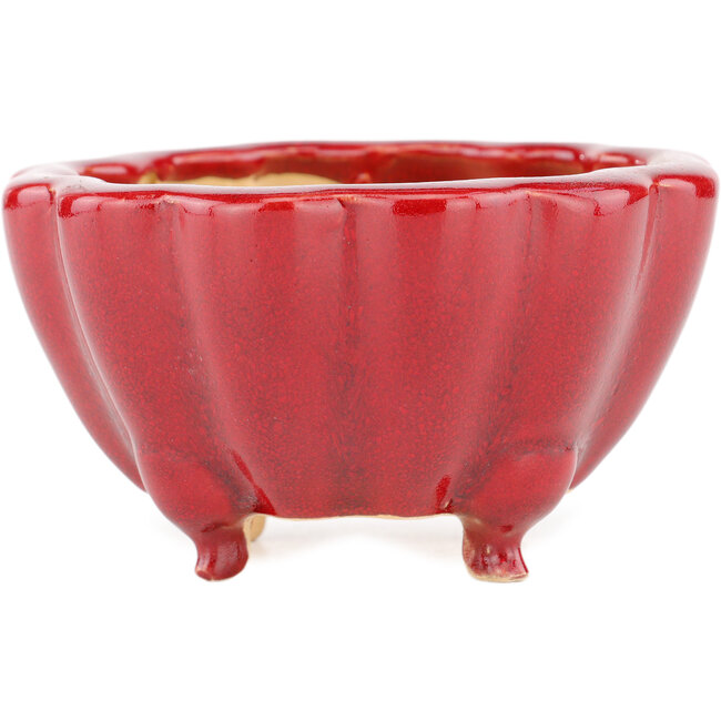 Lotus red bonsai pot by Eime Yozan - 105 x 105 x 60 mm