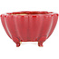 Maceta para bonsái Lotus rojo de Eime Yozan - 105 x 105 x 60 mm