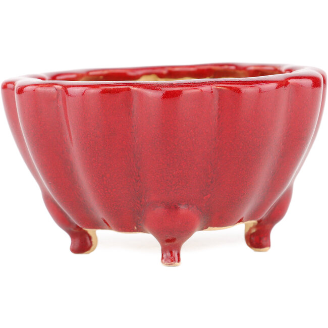 Vaso bonsai rosso loto di Eime Yozan - 105 x 105 x 60 mm