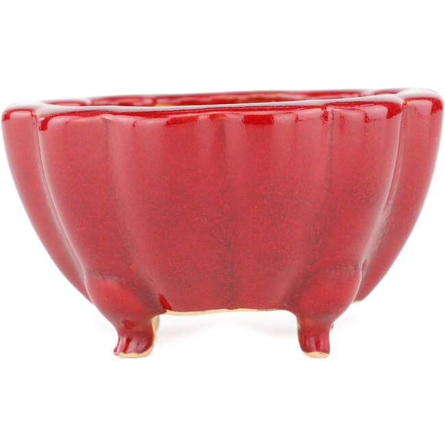 Pot à bonsaï Lotus rouge par Eime Yozan - 105 x 105 x 60 mm