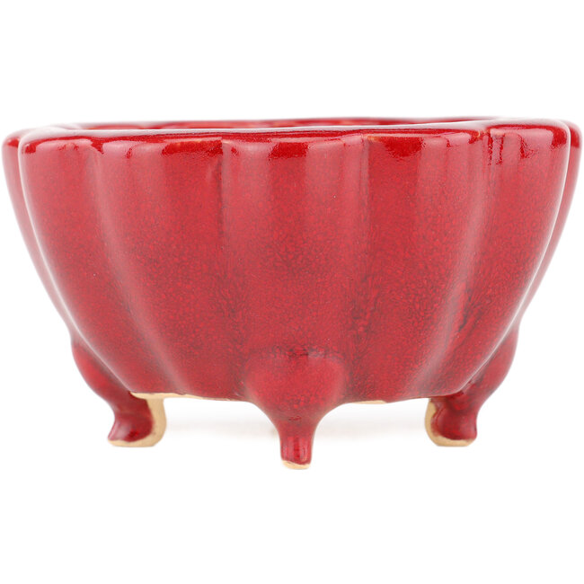 Pot à bonsaï Lotus rouge par Eime Yozan - 105 x 105 x 60 mm