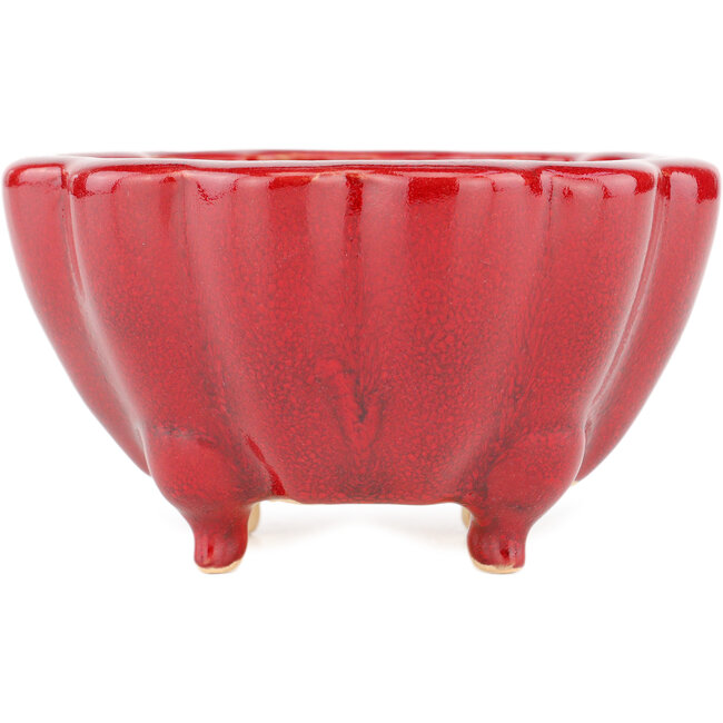 Pot à bonsaï Lotus rouge par Eime Yozan - 105 x 105 x 60 mm