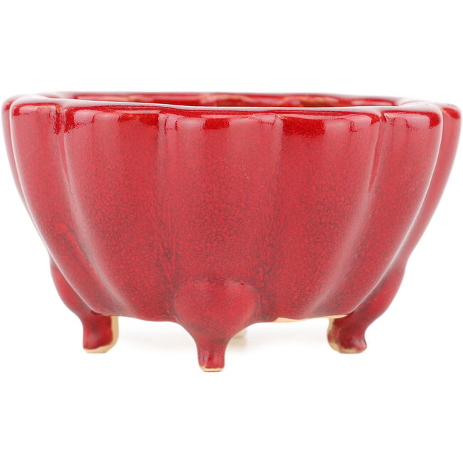 Vaso bonsai rosso loto di Eime Yozan - 105 x 105 x 60 mm