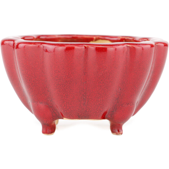 Maceta para bonsái Lotus rojo de Eime Yozan - 105 x 105 x 60 mm
