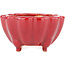 Maceta para bonsái Lotus rojo de Eime Yozan - 105 x 105 x 60 mm