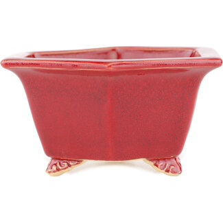  Eimei ( Yozan kiln) Pot à bonsaï rouge 105 mm par Eime Yozan, Tokoname, Japon