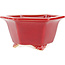 Zeshoekige rode bonsaipot van Eime Yozan - 105 x 105 x 55 mm
