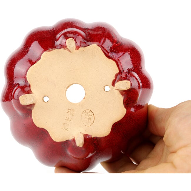 Lotusroter Bonsaitopf von Eime Yozan – 105 x 105 x 60 mm