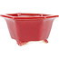 Pot à bonsaï hexagonal rouge par Eime Yozan - 105 x 105 x 55 mm