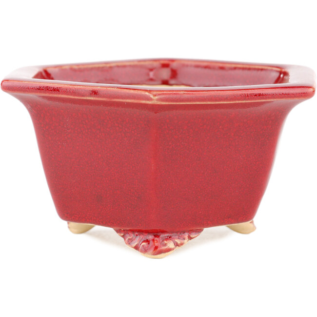 Zeshoekige rode bonsaipot van Eime Yozan - 105 x 105 x 55 mm