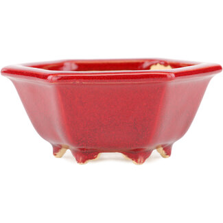  Eimei ( Yozan kiln) 105 mm  red bonsai pot by Eime Yozan, Tokoname, Japan