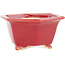 Sechseckiger roter Bonsaitopf von Eime Yozan – 105 x 105 x 55 mm