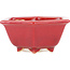 Hexagonal red bonsai pot by Eime Yozan - 105 x 105 x 50 mm