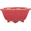 Pot à bonsaï hexagonal rouge par Eime Yozan - 105 x 105 x 50 mm