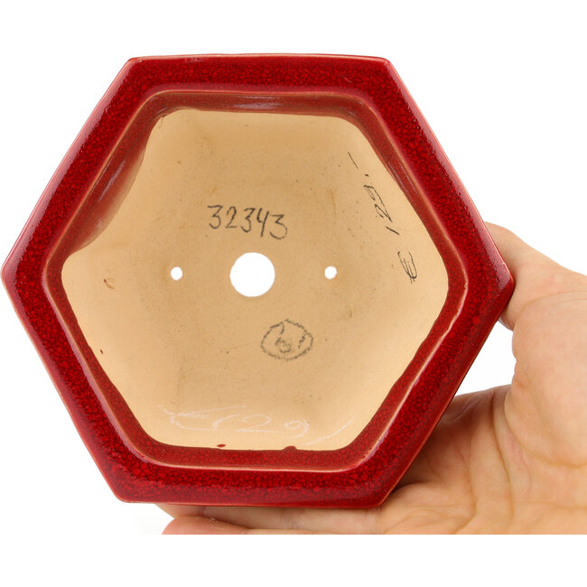 Zeshoekige rode bonsaipot van Eime Yozan - 105 x 105 x 55 mm