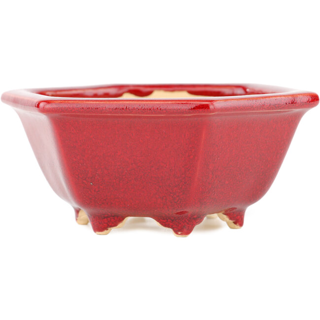 Maceta hexagonal para bonsái roja de Eime Yozan - 105 x 105 x 50 mm