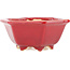 Pot à bonsaï hexagonal rouge par Eime Yozan - 105 x 105 x 50 mm