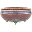 Round multicolor bonsai pot by Eime Yozan - 60 x 60 x 25 mm