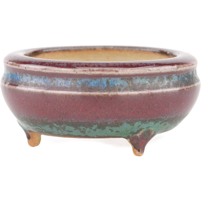 Vaso bonsai rotondo multicolore di Eime Yozan - 60 x 60 x 25 mm